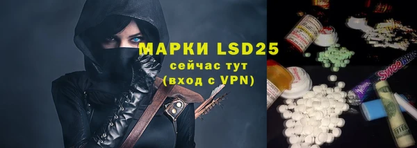 стафф Богданович