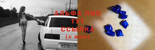 стафф Богданович