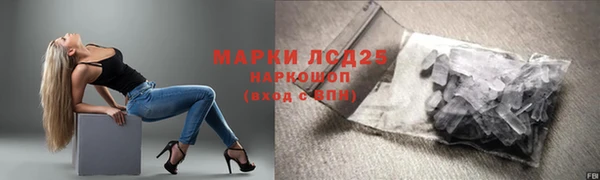 стафф Богданович