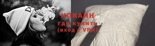 стафф Богданович