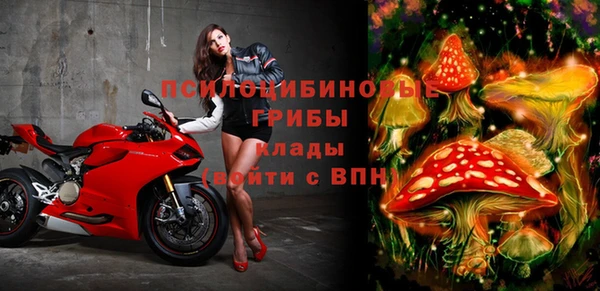 гашик Новодвинск