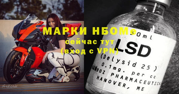 гашик Новодвинск
