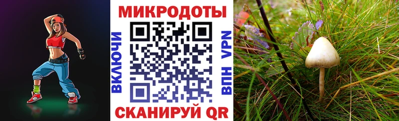 Галлюциногенные грибы MAGIC MUSHROOMS  Минеральные Воды 
